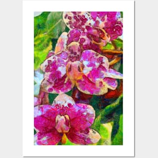 Orchids Posters and Art